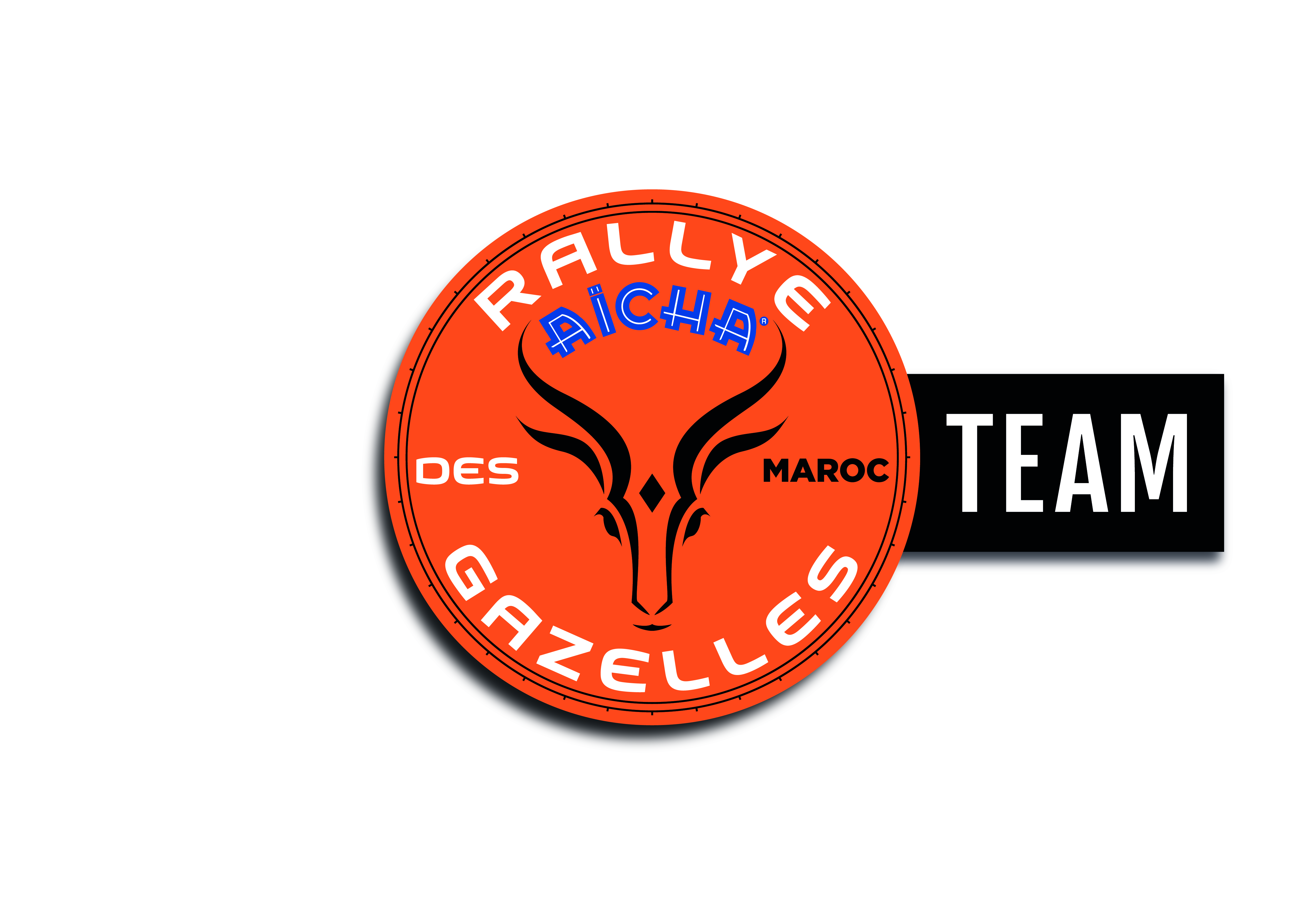 Logo officiel des teams